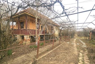 Proprietate în inima naturii gorjene – Satul Rasvovița, Comuna Lelesti! - 10