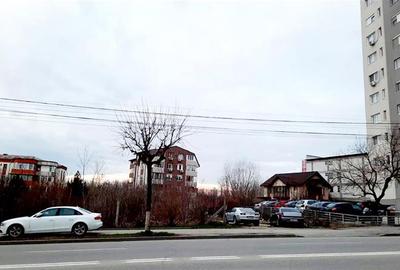 Ultimul teren de mari dimensiuni in Brazda - Consul - 6