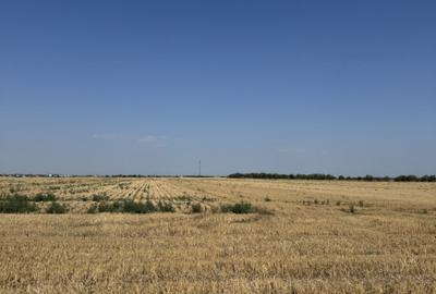 Teren 10.000 mp - Dragomiresti Vale, Ilfov - 4