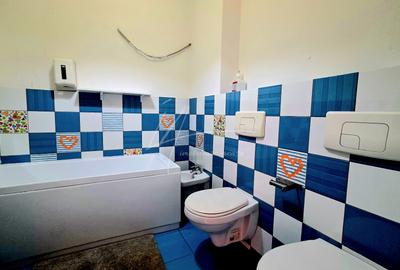 Apartament cu 5 camere-239 mp. utili si terasa 356 mp. in Prel. Ghencea-parter - 29