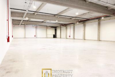 Hala de inchiriat Arad A1 – spațiu industrial modern 2.349 mp - 2