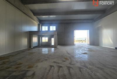 COMISION 0% Spatiu de depozitare 524 mp - Sanandrei - 5