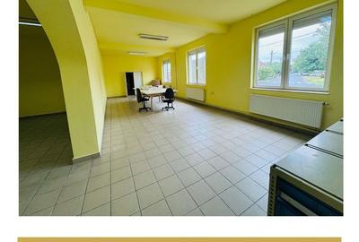 De inchiriat cladire comerciala potential P+M Gradiste Arad - 1