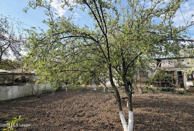 Chitila - Leroy Merlin, teren 423 mp deschidere 2 strazi - 6