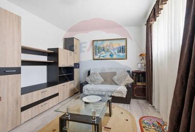 Casă + Apartament Separat - 5 Camere - Hlincea - 0% COMISION 0% TVA - 25