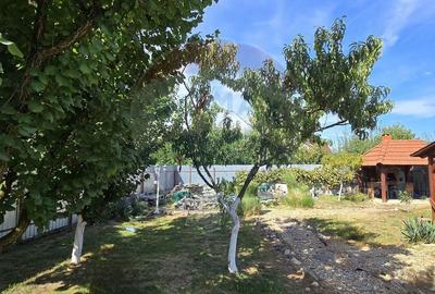 Casă cu etaj deosebită în Chișineu-Criș – un cămin creat cu suflet - 30