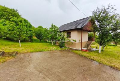 Casă P+1 de vânzare | Cicârlău | 11 ari teren - 4