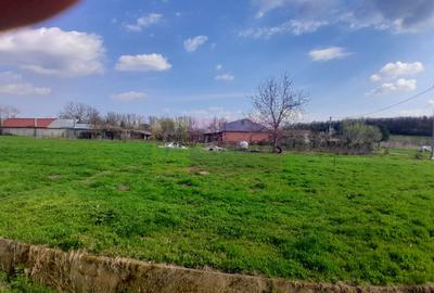 DE VANZARE TEREN 3400 MP IN SAT PODU ILFOVAT / COM BUTURUGENI (GR) - 3