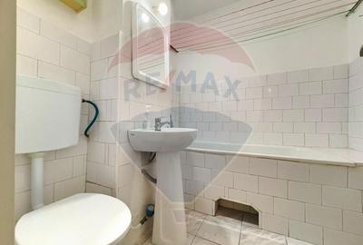 Apartament cu 3 camere de vânzare în zona Aradului - 10