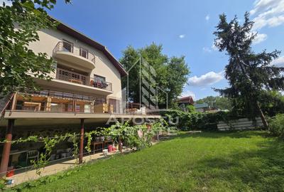 Casa de vanzare, potential pensiune, pe malul Timisului,Sag,comision 0 - 3