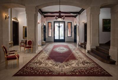 Palatul Stirbei - Darmanesti - 8