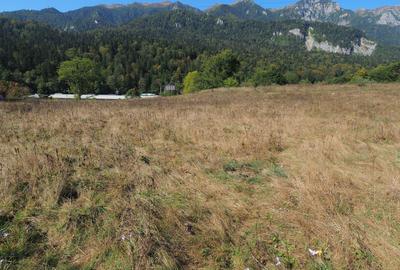 TEREN PENTRU DEZVOLTARE SINAIA-CUMPATU Str. Zamora-9.801 mp-Comision 0% - 11