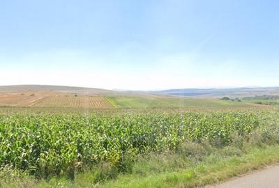 Teren agricol extravilan de 4300 mp, în Rediu