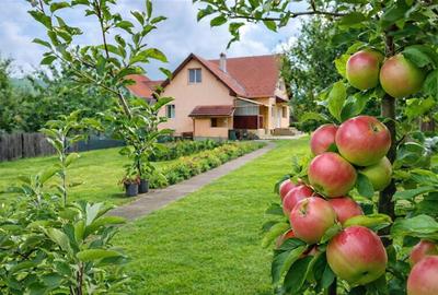 3D! Resedinta notabila,armonios cadru natural,faciliati,Central,Covasna - 1