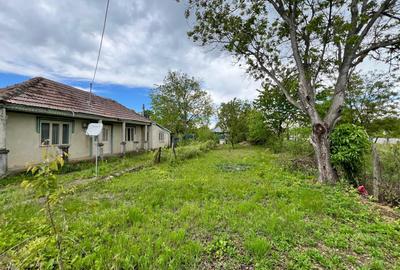 Casa + teren 4430 mp, vie si pomi fructiferi, 22 km de Tecuci - 1