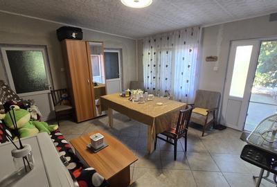 EXCLUSIVITATE! Casa Limanu - 3 camere - 148.000 euro (cod E11+E12) - 19