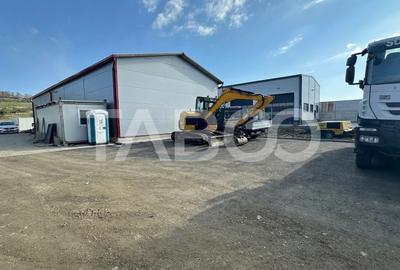 Hala acces  direct din DnE1 industriala de vanzare in Cristian Sibiu - 1