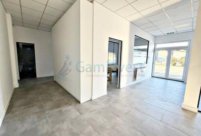 Hala industriala cu birouri de vanzare, Parc Industrial Eurobusiness 1, Oradea - 12