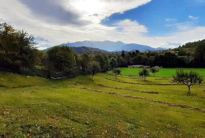 Teren superb de 16240mp, parcelabil, in Bran la intrare in Moeciu de Jos - 4