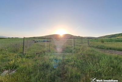 Teren de vanzare – 900 mp si 2000 mp, zona centura Donath - Floresti - 4