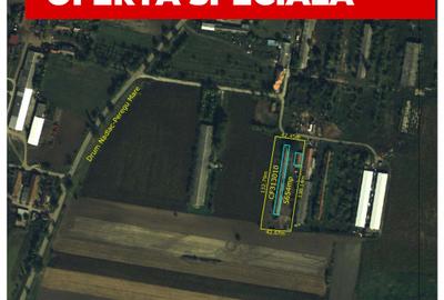 Proprietate mixtă de vânzare în Nădlac – Casă modernă + hală/grajd + teren mare - 2