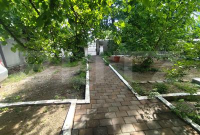 Casa 4 camere, 147 mp utili, 314 mp teren, Pacurari - 3