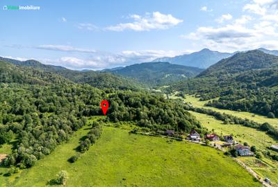 Teren cu vedere superba spre Cheile Rasnoavei, 8800 mp, la marginea pădurii - 2