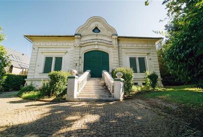 Vila in stil Art Nouveau (Targu Mures, str. Alexandru Papiu Ilarian) - 1