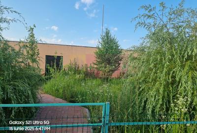 VANZARE CASA OASPETI + ANEXE IN  SAT TEISORI (JUD. GIURGIU) - 24
