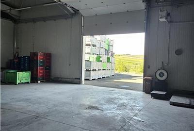 Spatii Frigorifice - 2000 mp - Depozitare - Refrigerare - 13