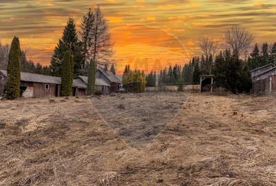 Cabana / Pensiune de vanzare - 1