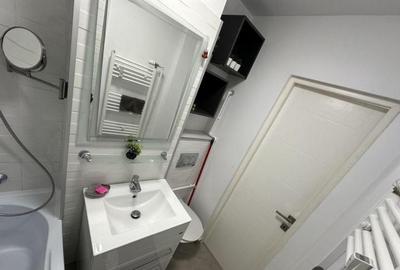 Teiul Doamnei-Parcul Tei, Apartament 2 camere - 6