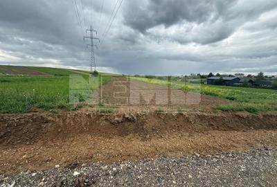 Teren Burdujeni | Zona Tarinca | 41 Ari - 2