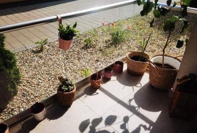 Dumbravita / Parter cu Balcon - 11