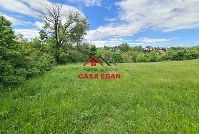 Teren intravilan in Campina--4355mp--28.500 euro - 4