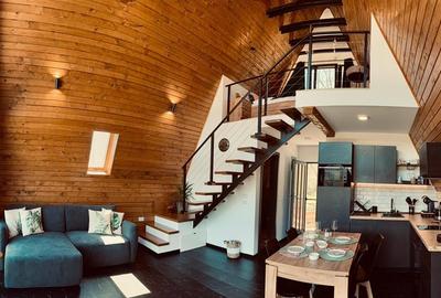 Casa A-Frame de vanzare | Valea Doftanei, Tesila | Constructie 2024 | Teren 627 - 14