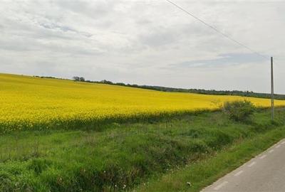 Teren agricol 64 ha, 800 m deschidere - 2