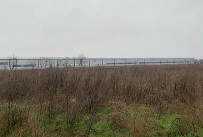 DJ200  Stefanesti de Jos / Dascalu    - Targoviste Gaesti  Vanzare  Teren - 10