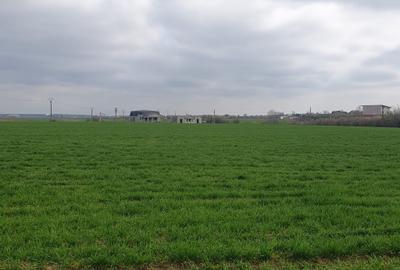 Tâncăbești -Ilfov suprafață 4500 mp - 5