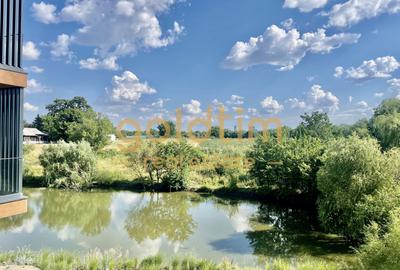 FIRST RENT/ IANCU NICOLAIE/ PRIVELISTE LAC/ PARCARE/ DRESSING - 1