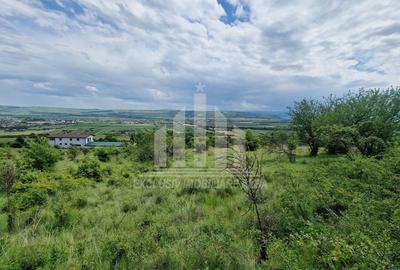 Teren extravilan | De vanzare | 1400 mp | 13 ml deschidere | Paclisa - 4