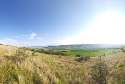 Oportunitate de investitie! Teren extravilan Chinteni! - 1