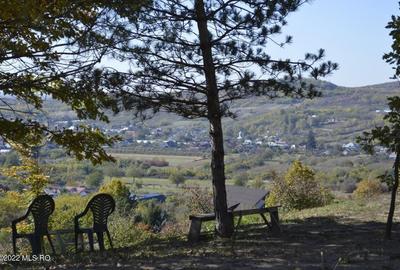 Topoloveni - Conacul Ion Mihalache, Domeniu pe 5 Hectare! - 17