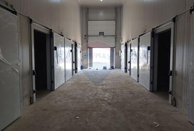 Depozit frigorific de 216 mp cu 4 celule, Șcheia, Suceava - 17