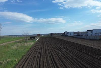 Teren Intravilan 3498 mp Tisauti  Suceava 0727817187 - 12