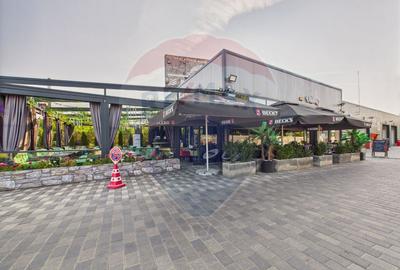 Imobil comercial, Restaurant si Spalatorie auto, Dedeman, Slobozia - 5
