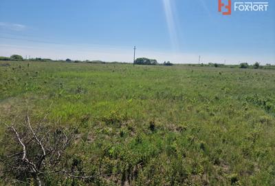 Teren de 5000 mp de vanzare in Mosnita Veche - 3