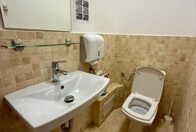 Închiriere birou ultracentral 230 mp. - 2300 EUR+TVA - 13