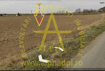 Bacau com. Tamași teren intravilan 21643 mp - 6