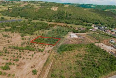 Teren intravilan 1,163mp de vânzare în Săldabagiu De Munte - 9